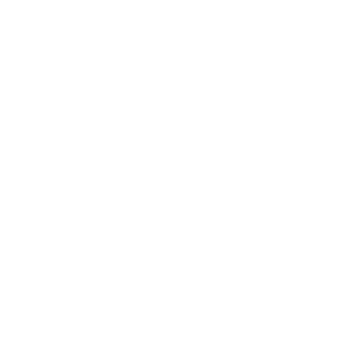TradeLens AI logo